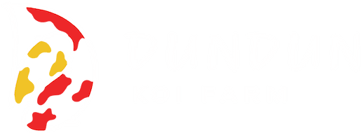 Dundun Koi Farm Logo